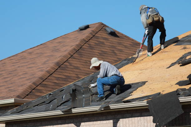 Best Green or Eco-Friendly Roofing Solutions  in Lawtey, FL
